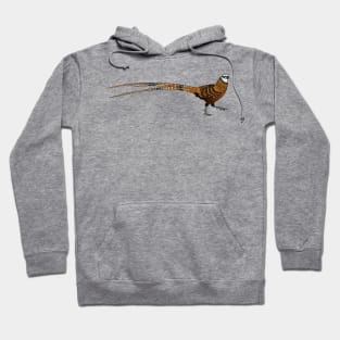 Reeves's pheasant bird cartoon illustration Hoodie